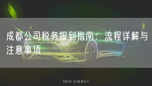 成都公司税务报到指南：流程详解与注意事项