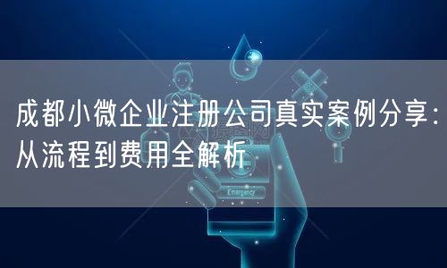 成都小微企业注册公司真实案例分享：从流程到费用全解析