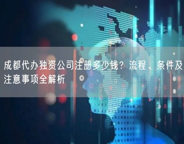 成都代办独资公司注册多少钱？流程、条件及注意事项全解析