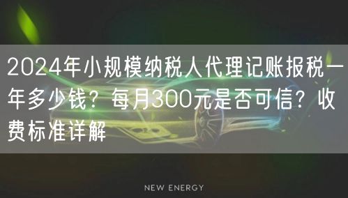 2024年小规模纳税人代理记账报税一年多少钱？每月300元是否可信？收费标准详解
