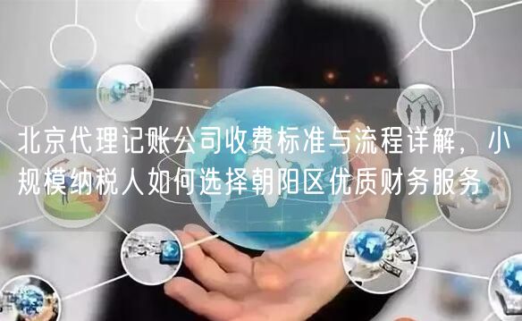 北京代理记账公司收费标准与流程详解，小规模纳税人如何选择朝阳区优质财务服务