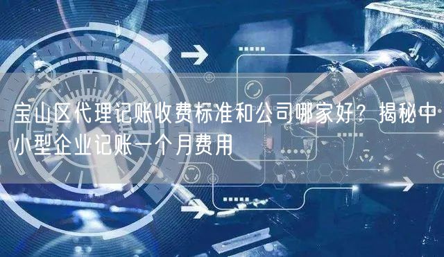 宝山区代理记账收费标准和公司哪家好?揭秘中小型企业记账一个月费用 宝山区代理记账收费标准和公司哪家好?揭秘中小型企业记账一个月费用