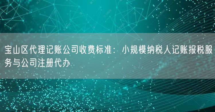 宝山区代理记账公司收费标准：小规模纳税人记账报税服务与公司注册代办